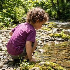 T-shirt plum with dragonfly, merino wool & silk (organic/GOTS)