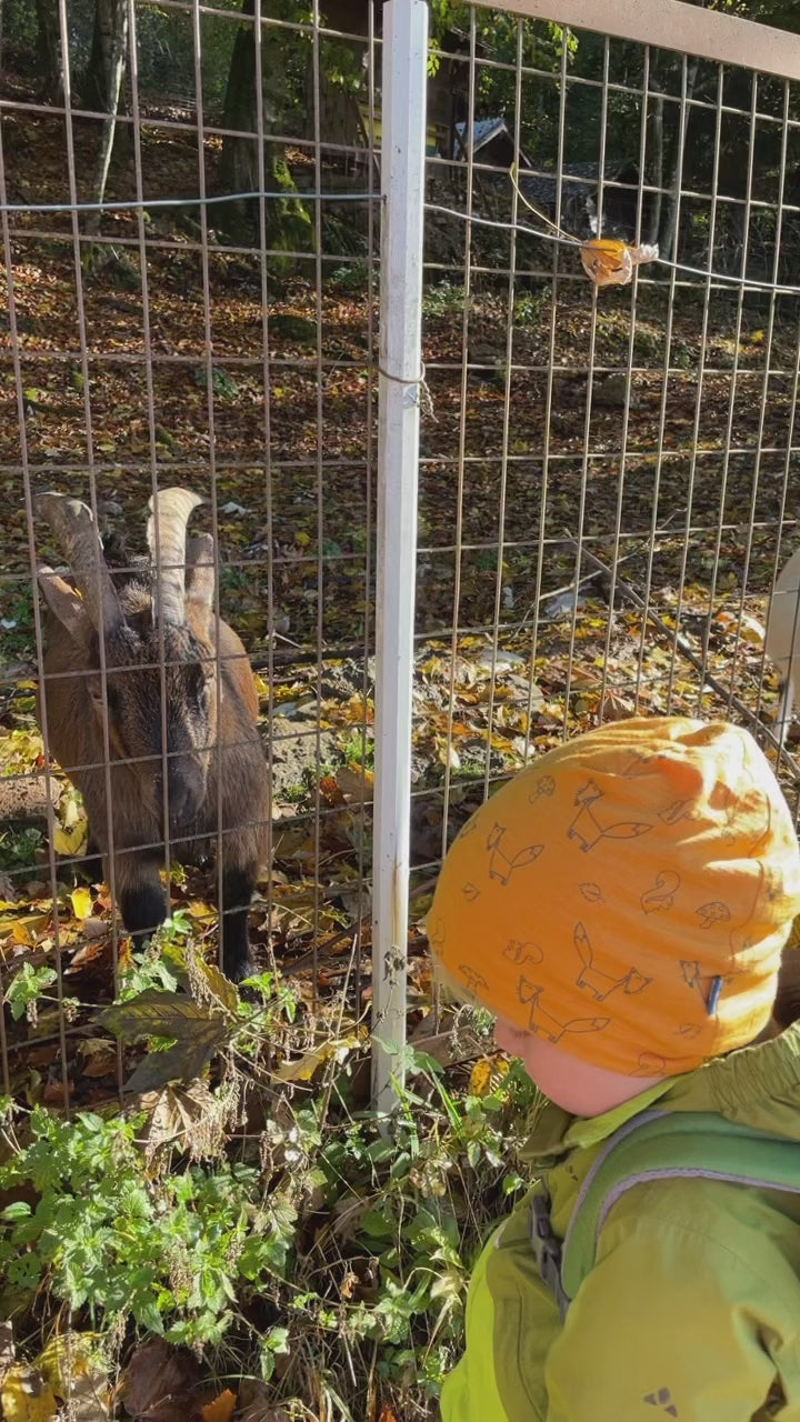 Haube sonnengelb Fuchs, Merinowolle & Seide (bio/GOTS)